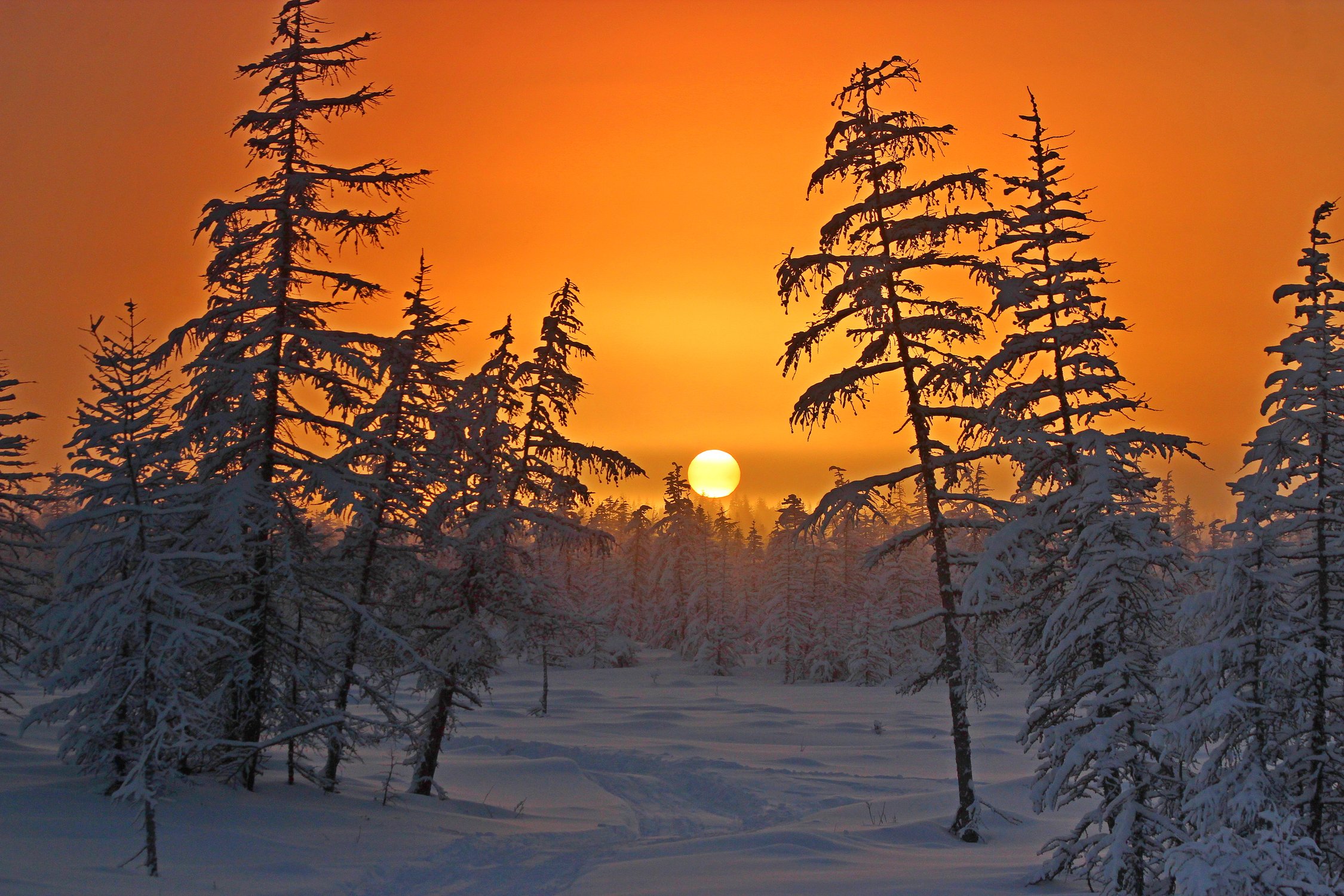 Окончание Полярной ночи