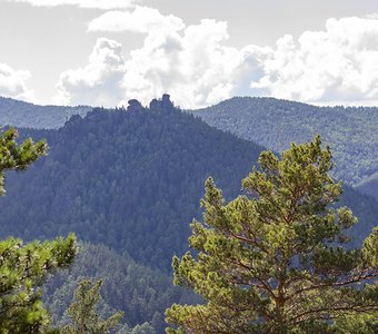 "Воробушки" с высоты