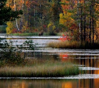 Осенняя пора