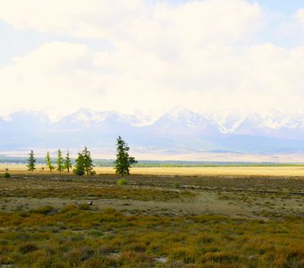 Дорога в степи, Северо-Чуйский хребет, Горный Алтай