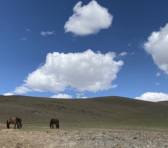 Монгольское синее небо с облаками и пасущиеся лошади