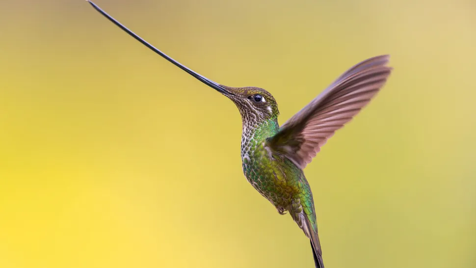 64a053e0e8194443bba82f77766a4024.max-200