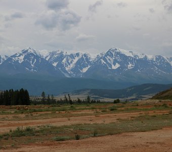 Курайская степь