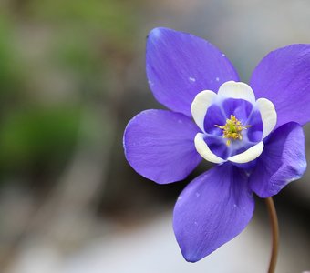 Яркие краски природы