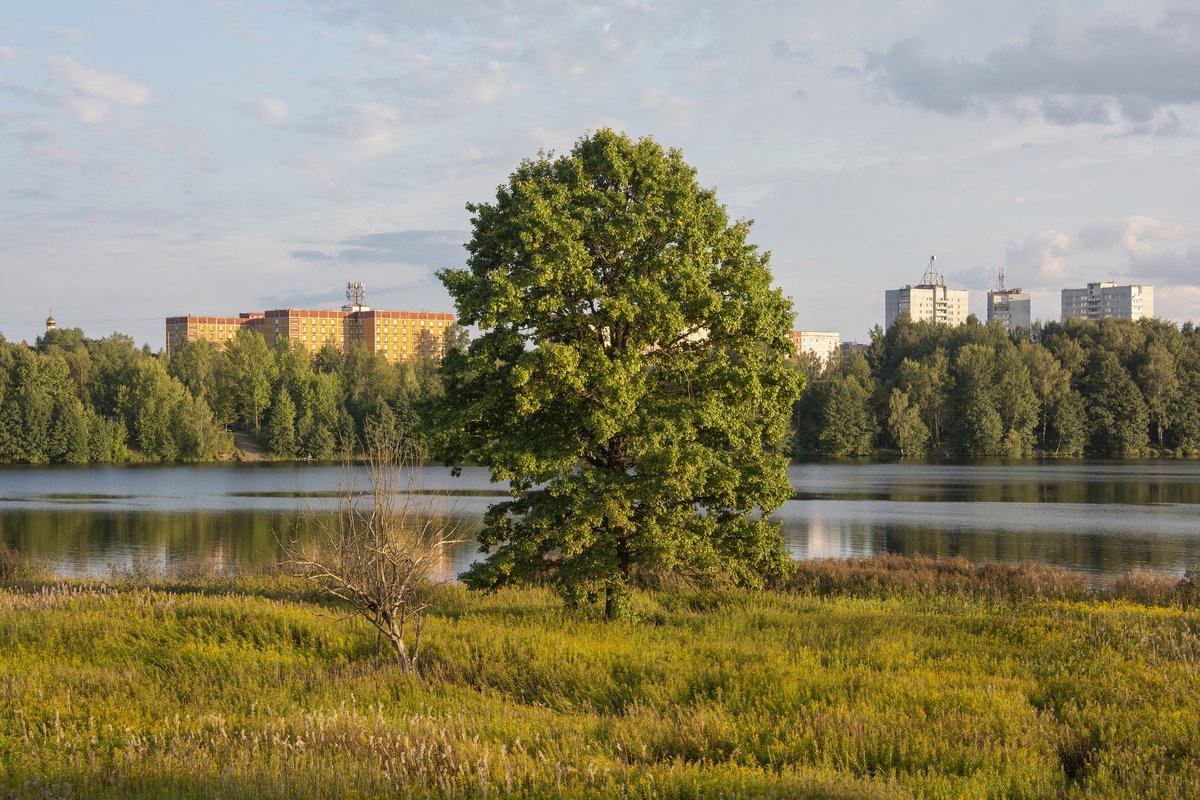 каталог Десногорск
