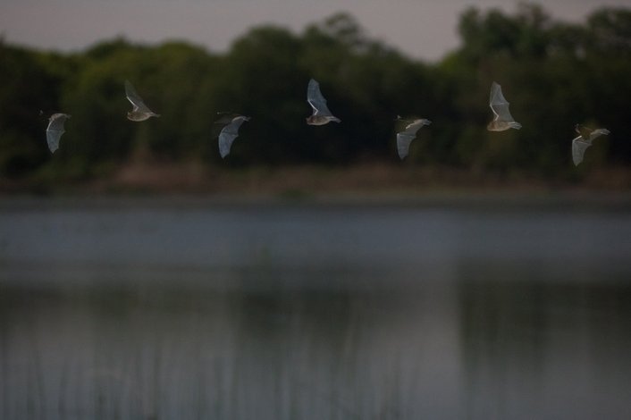 Фото: Алексей Данилкин / фотохостинг rtraveler.ru