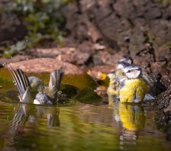 Водные процедуры