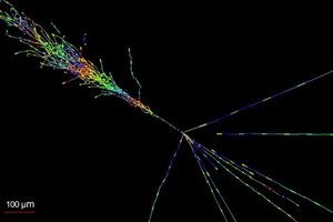Теперь официально: в Большом адронном коллайдере действительно обнаружили нейтрино