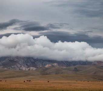 Сон-Кульские зарисовки