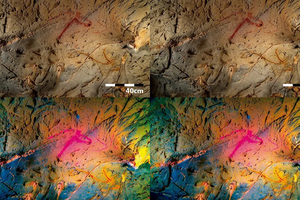 В пещерах Испании нашли скрытую наскальную живопись эпохи палеолита
