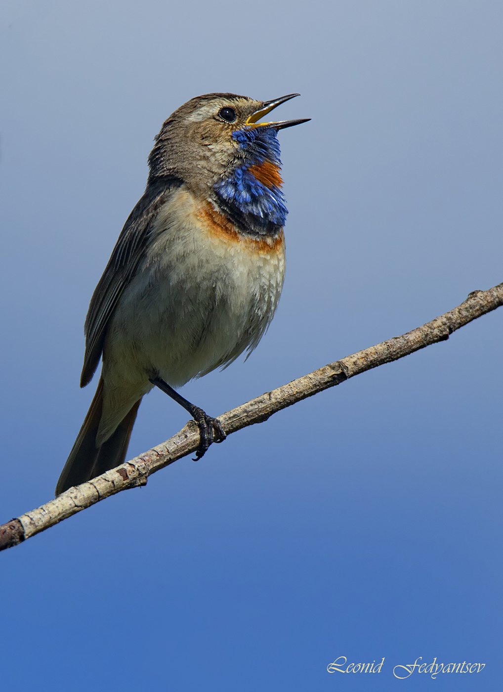 Выдающийся исполнитель.