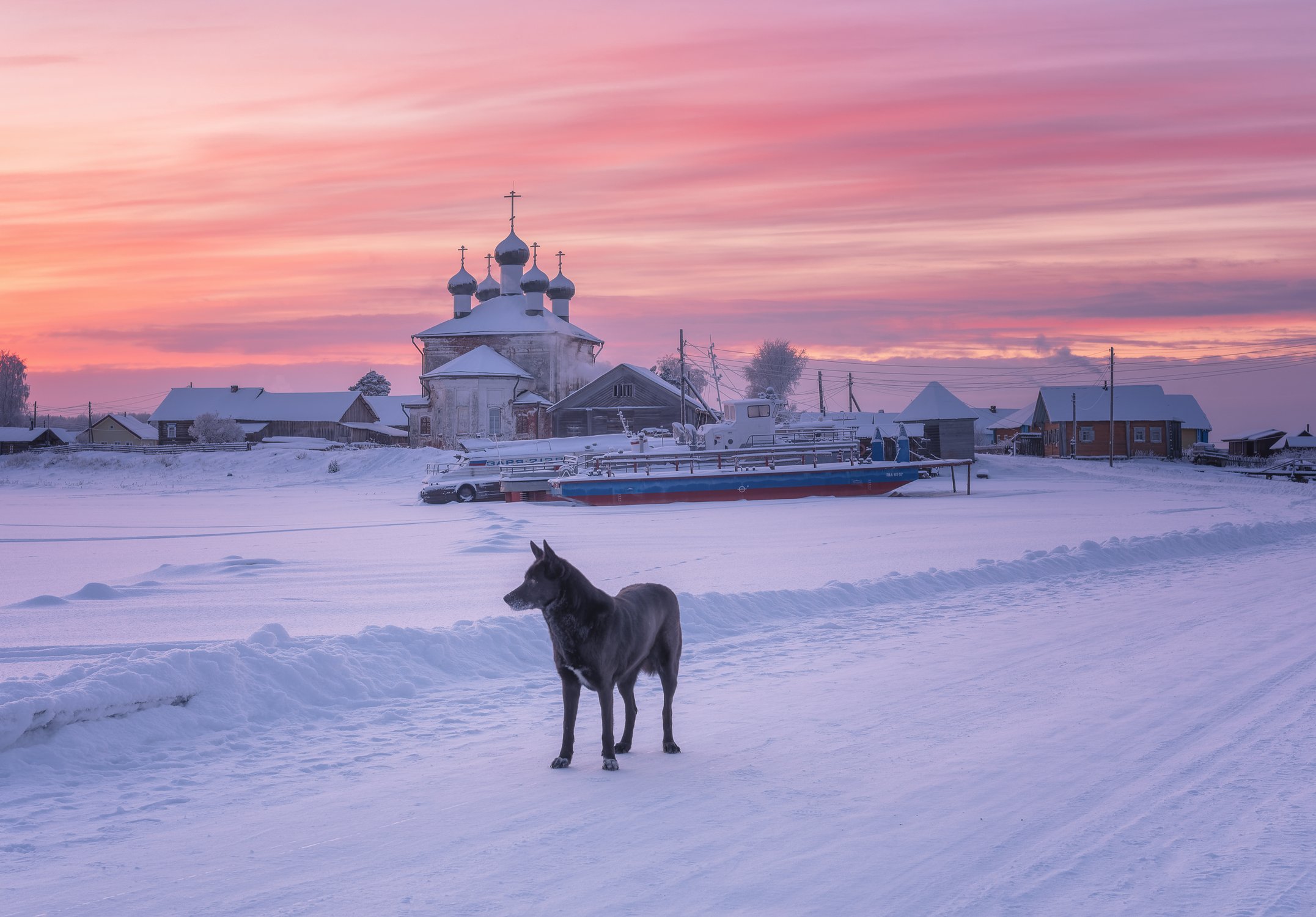Темный страж Кенозерья