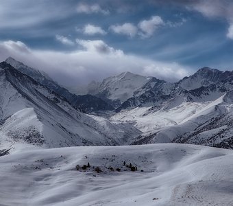 Картины января