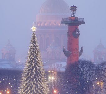Новогодний Петербург - 2024❄