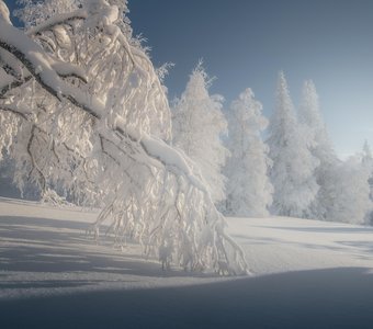 Морозное утро на хребте Зюраткуль