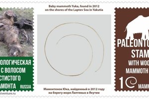 В Якутии выпустили первую в мире марку с волосом мамонта