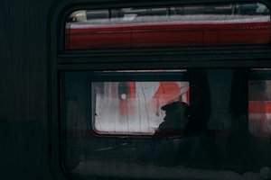 В России хотят изменить правила перевозки животных в поездах