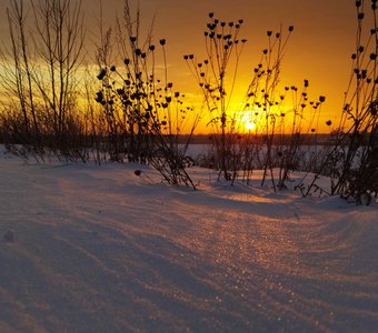 Цветочная лавка Снежной Королевы