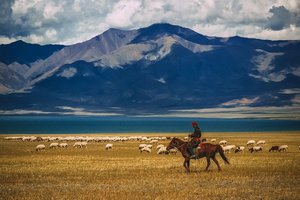 Монголию впервые признали комфортной для путешествий страной