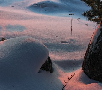 Блики январского солнца