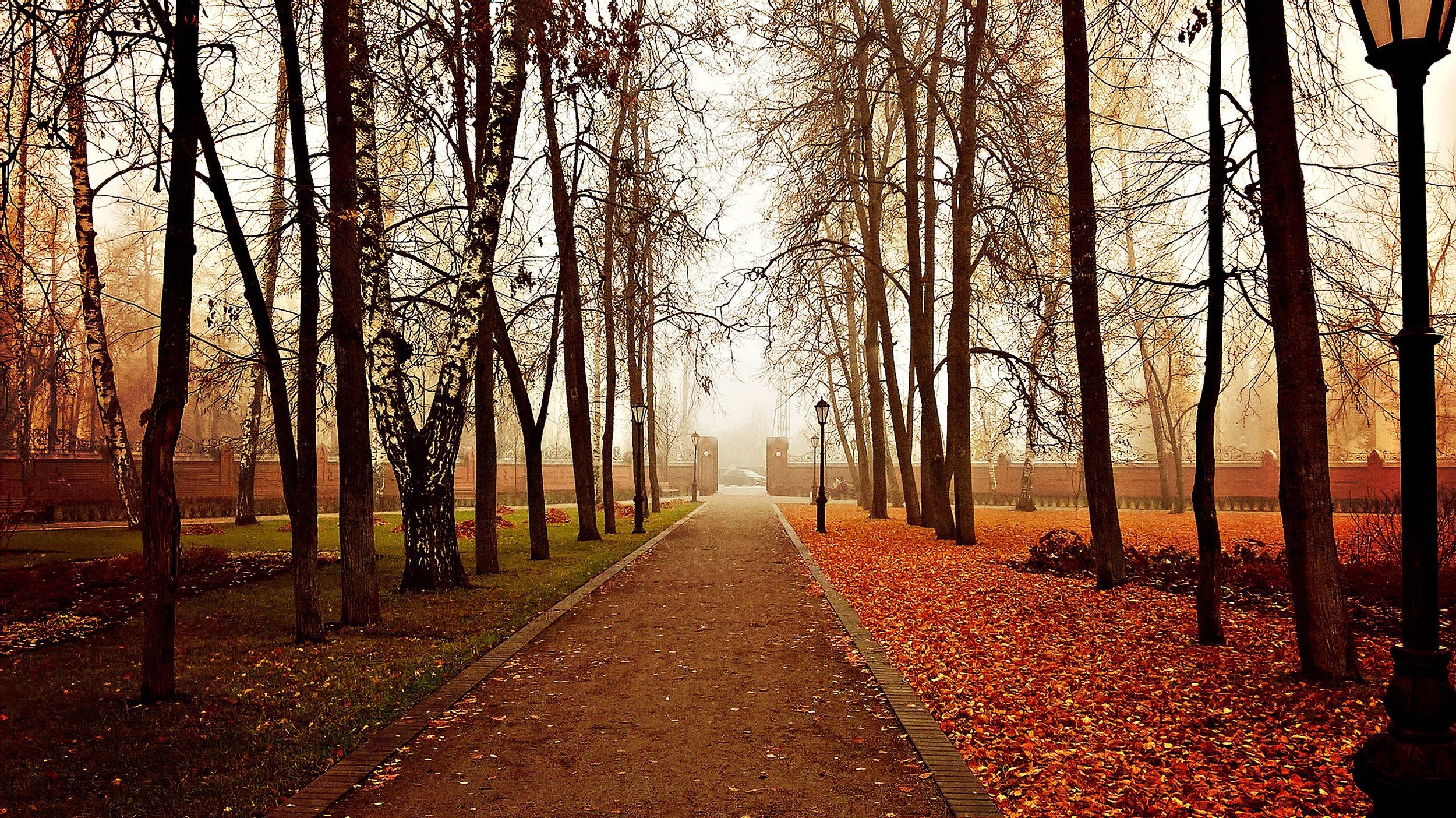 Осеннее утро в парке Ольденбургской
