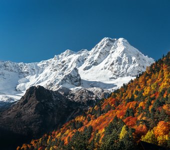 Между осенью и зимой.