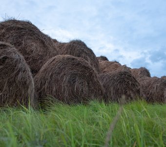 Красота в простоте