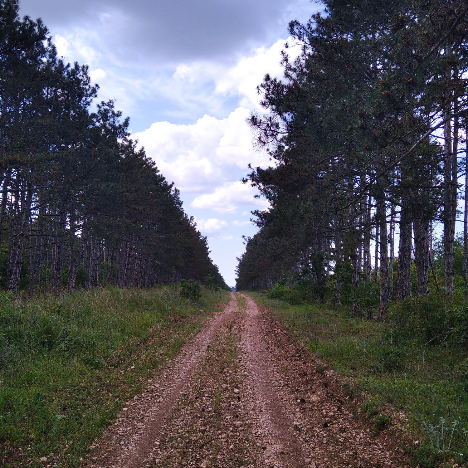 По дороге с облаками