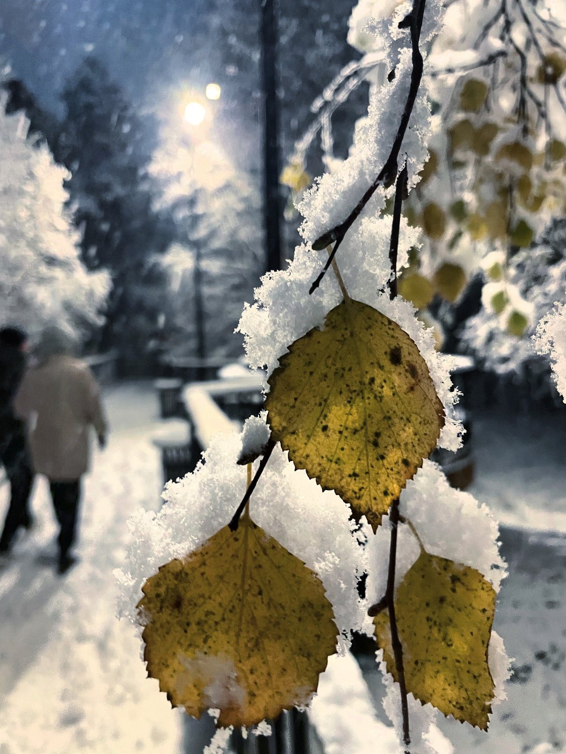 Ночь. Улица. Фонарь