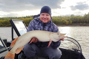 За полярным кругом поймали редкую щуку-альбиноса