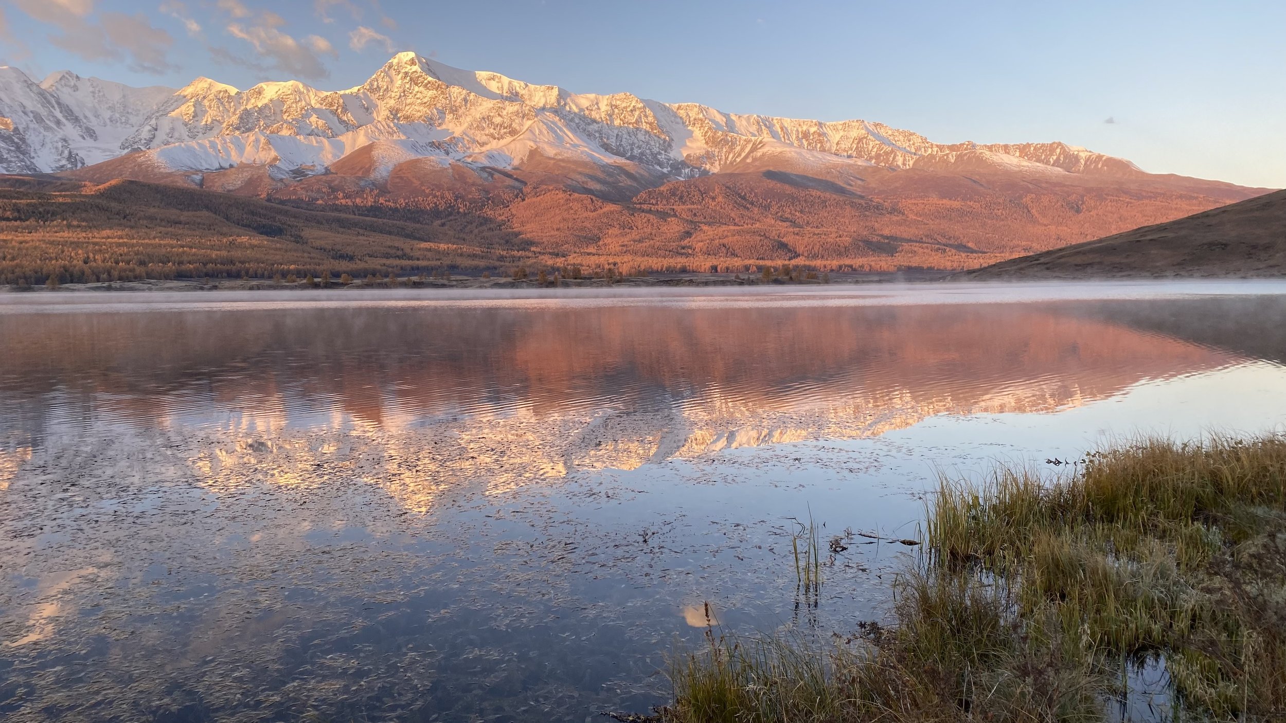 Тихий рассвет