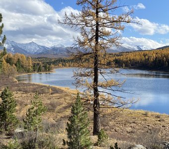 Свой среди чужих