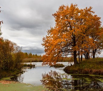 На озере осенью
