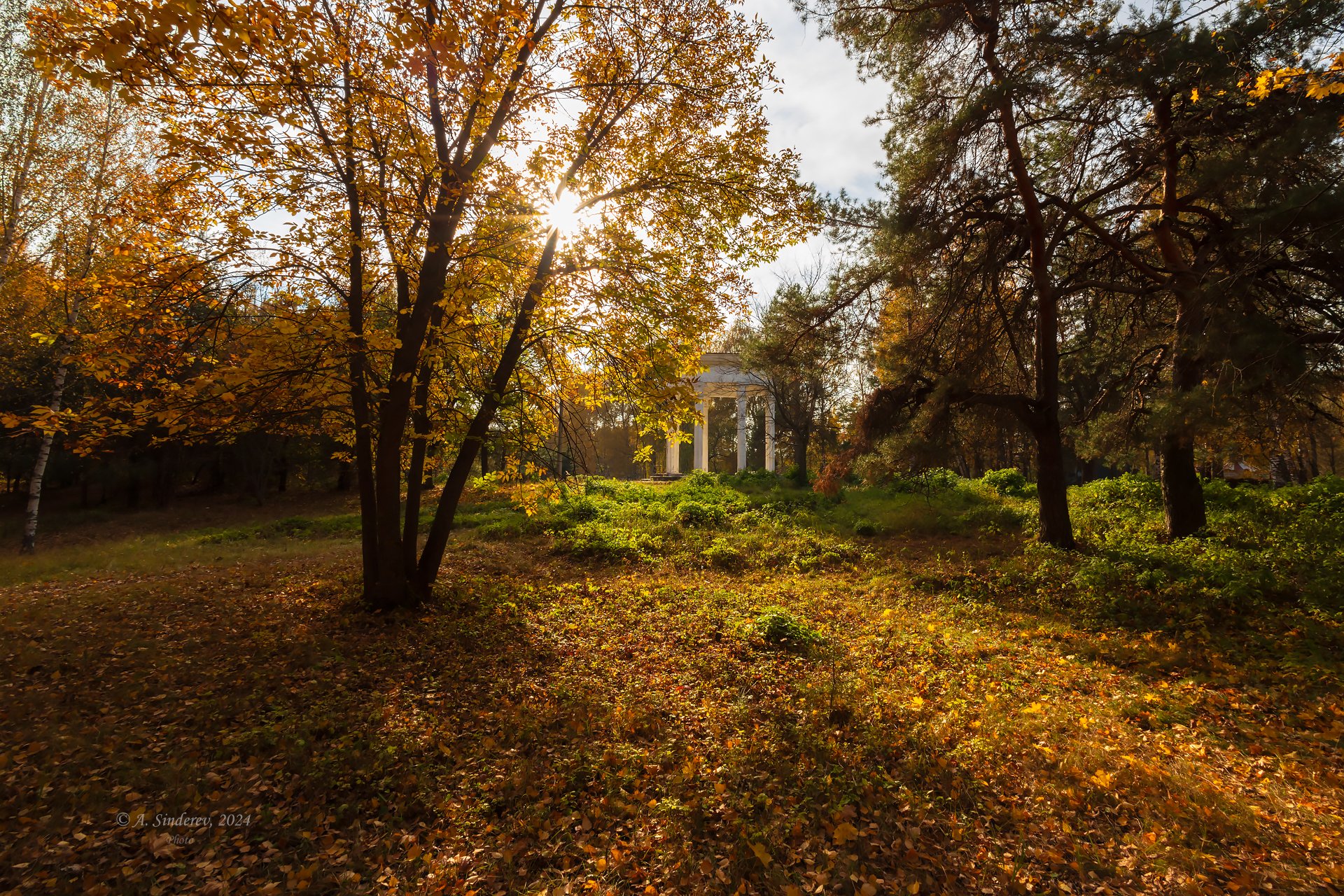 Осень в городском парке
