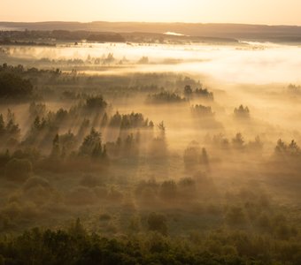 Сонное царство