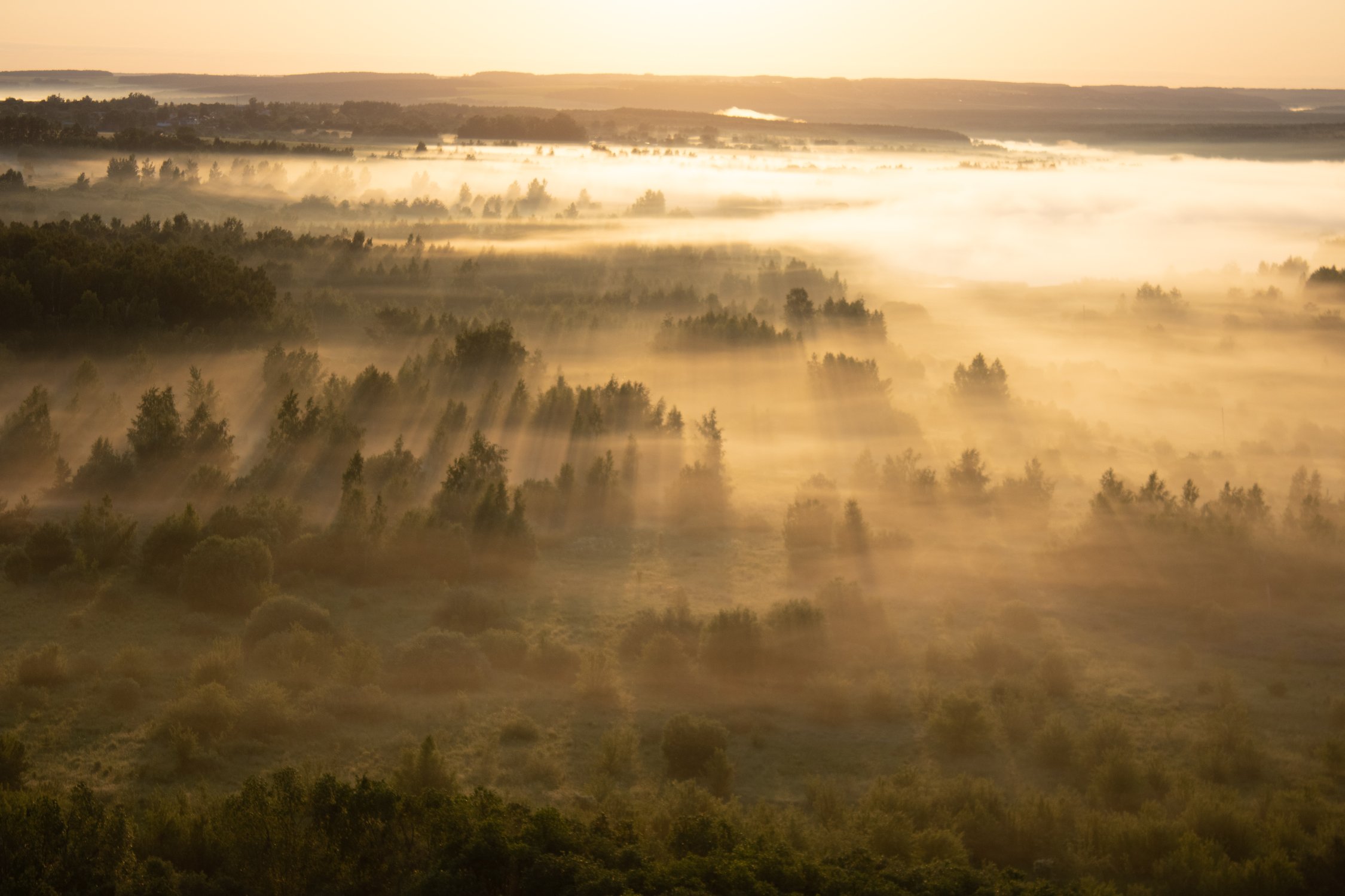 Сонное царство