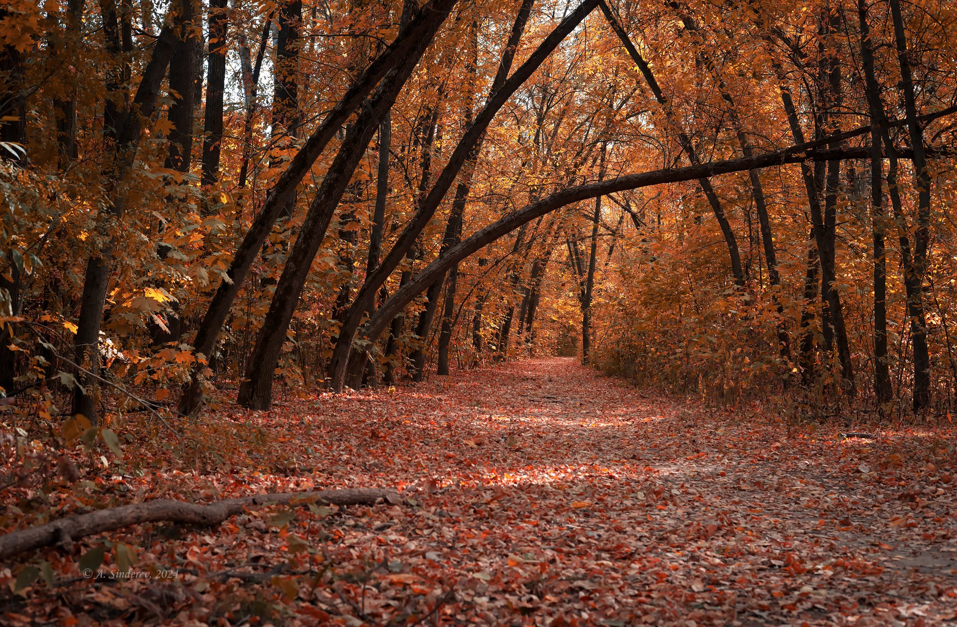 Осенний коридор