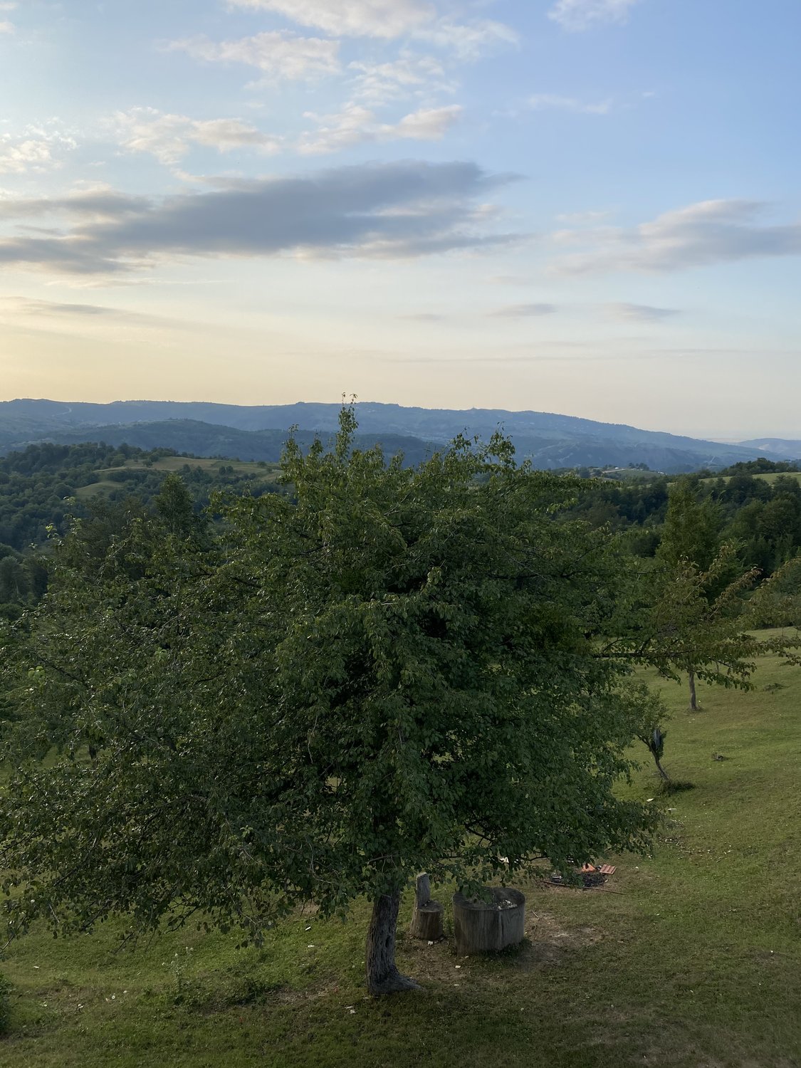 Столик на одного