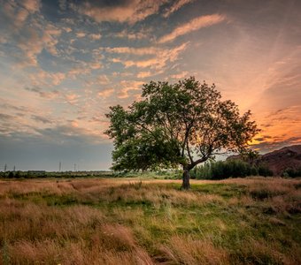 Одиночество на закате