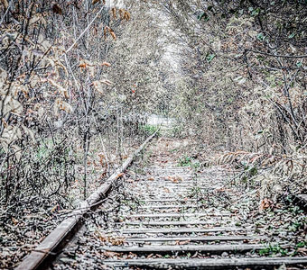 ПЕРВЫЕ ЗАМОРОЗКИ