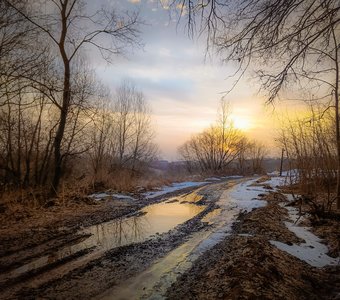 Весенние лужи