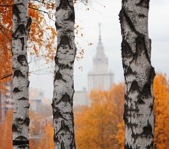 Осень в парке имени 50-летия Октября