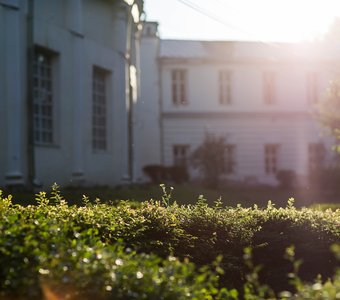 Жаркий день в усадьбе Горенки