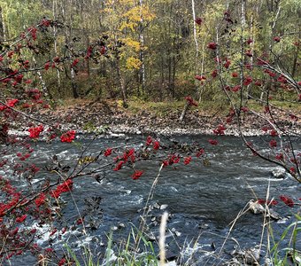 Осень на Южном Урале