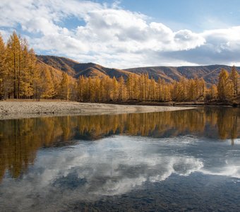 Отражения осени