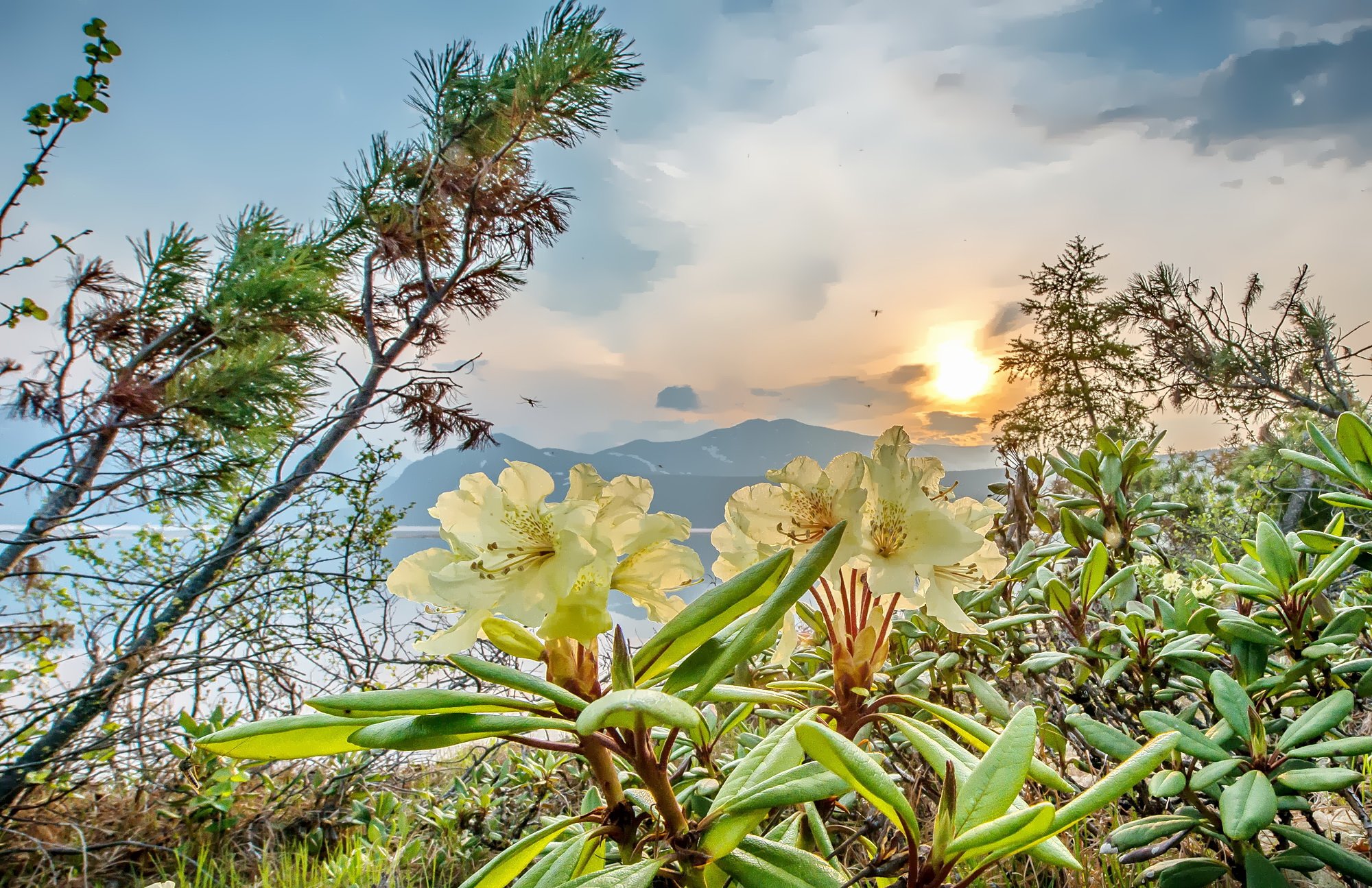 Соревнуясь с солнцем