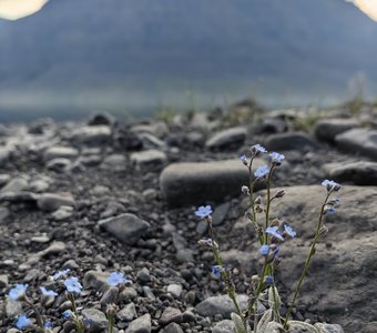 Красота в мгновение