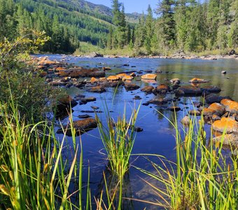 Солнечные камни