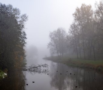 Туман в Павловском парке.