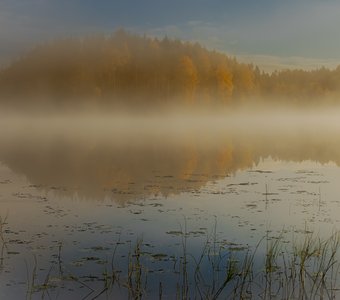 Сентябрьский туман над Большим Кимозером